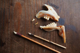 Utensilien fuer Kintsugi aus den Zaehnen eines Fisches